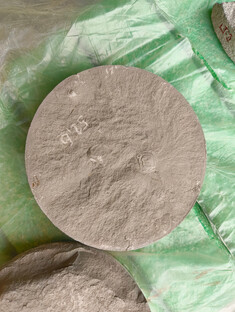 2025-10-30_paleontologie7