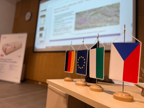 2025-11-26_transformon1 2025-11-26_transformon1