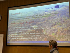 2025-11-26_transformon3 2025-11-26_transformon3